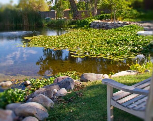 Large Koi pond by The Pond Gnome in Phoenix, AZ