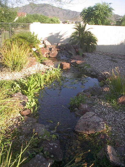 Laveen AZ Disappearing Pondless Stream by The Pond Gnome