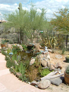 A waterfall into a pond by The Pond Gnome in Phoenix, AZ