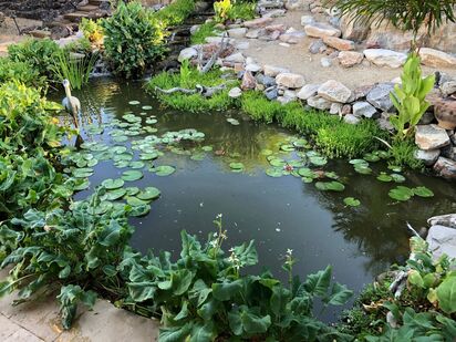 Paradise Valley AZ Disappearing Pondless Stream by The Pond Gnome